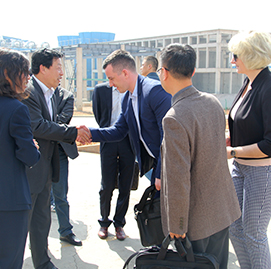 ******轉型發(fā)展基本情況